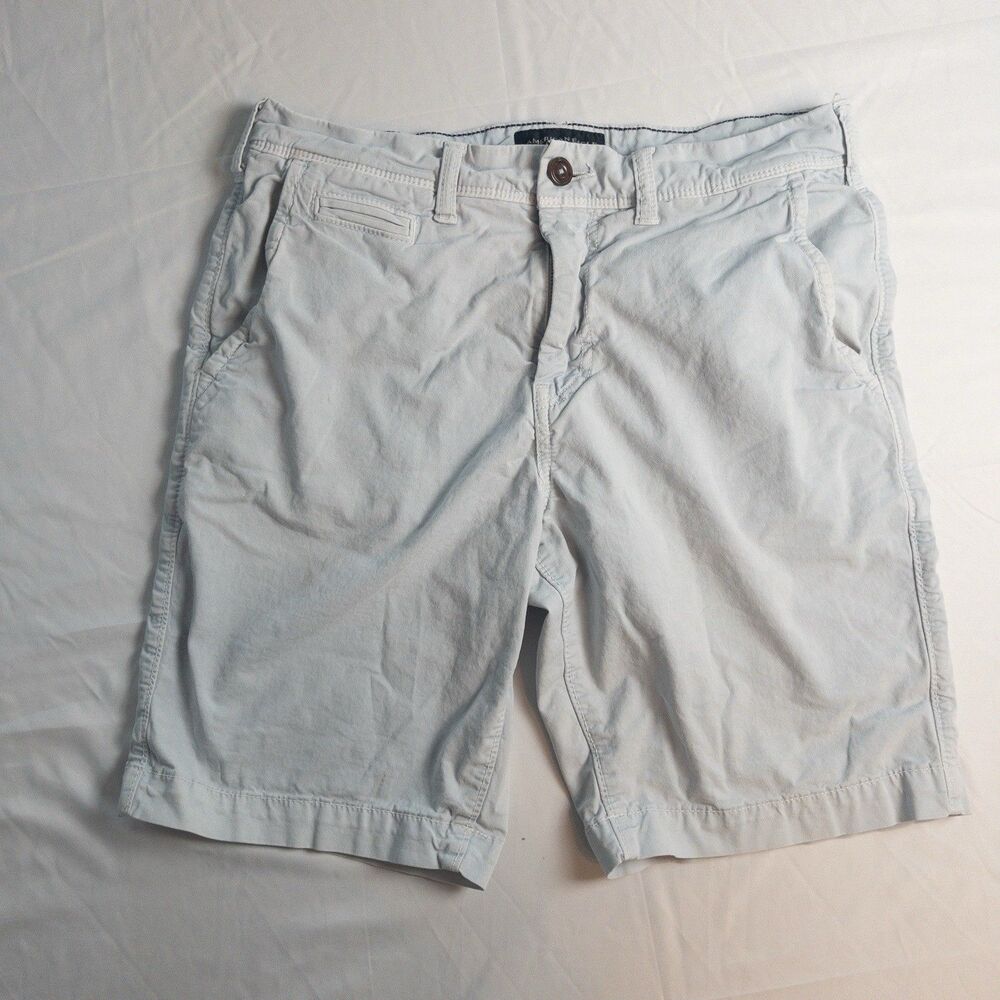 American Eagle Shorts Sz 30 Men’s Blue Next Level Flex Summer Sky Blue Vacation